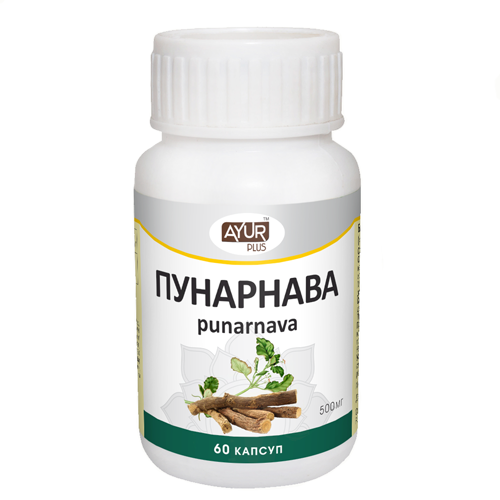 Пунарнава Ayur Plus, 60 кап.