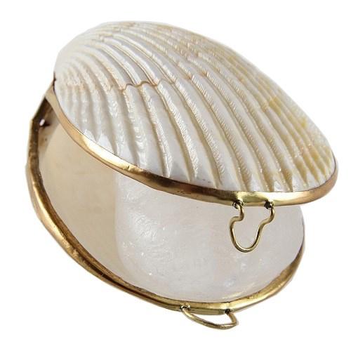 Кристалл свежести в тихоокеанской раковине Коклес Tawas Crystal, 55 г.