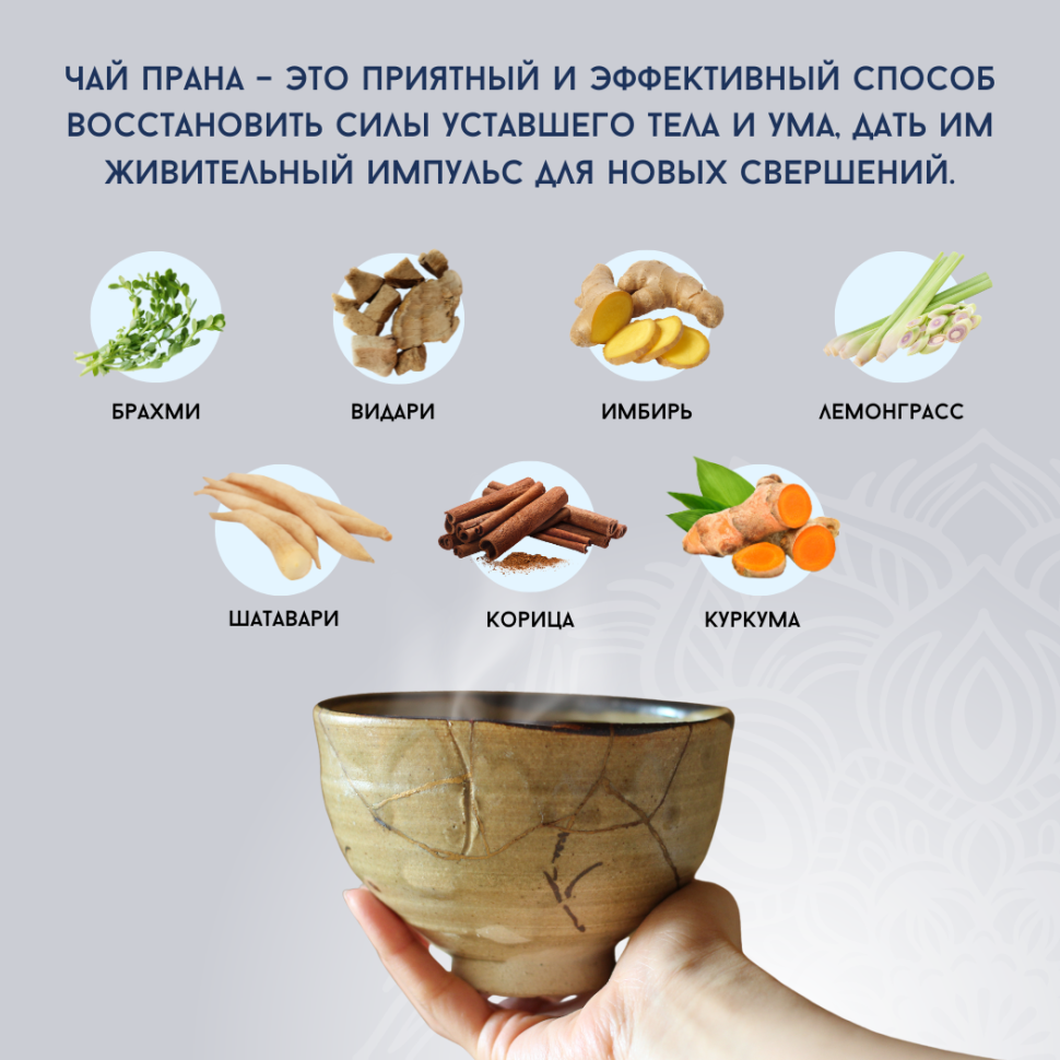 Аюрведический энергетический чай Прана Agnivesa, 100 г.