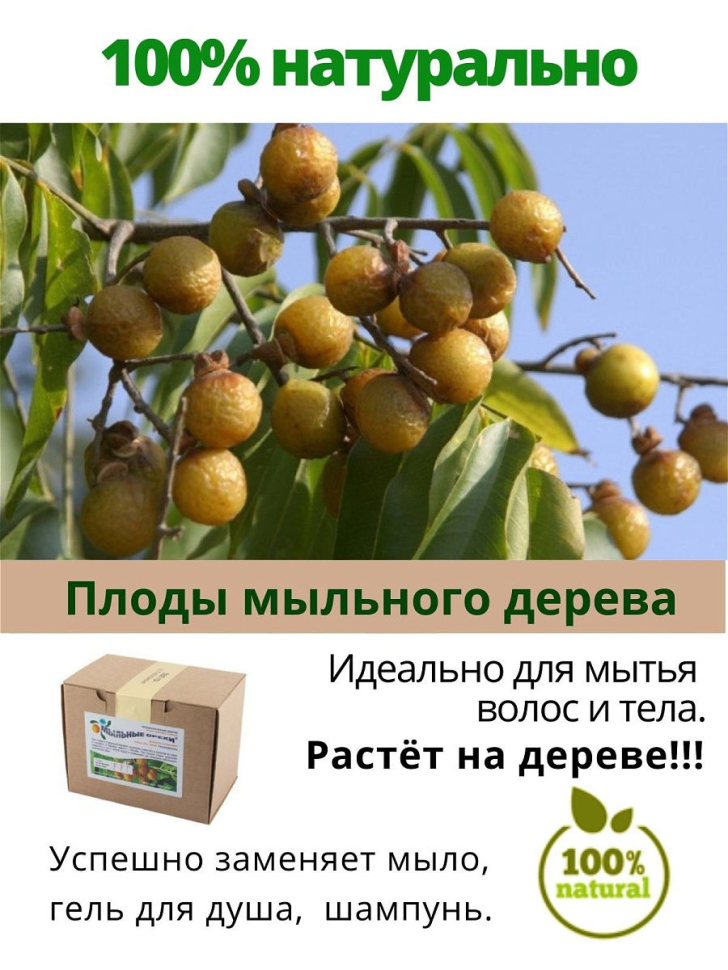 Натуральное средство для очищения тела и волос Мыльные орехи, 1000 г.